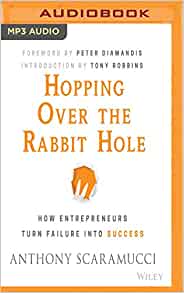 Hopping Over the Rabbit Hole: How Entrepreneurs Turn Failure into Success (Paperback) - Bookmark.it
